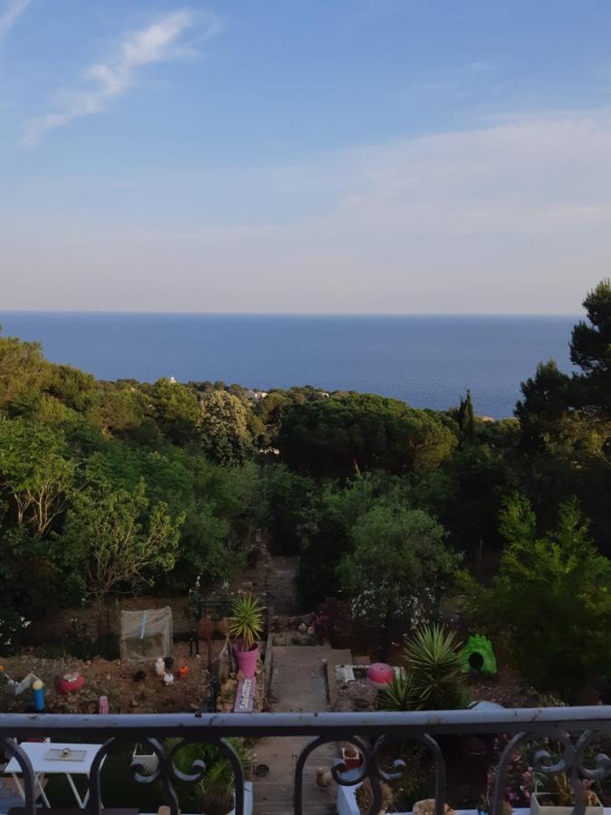Haut De Villa Au Mont St Clair Vue Exceptionnelle Mer Et Foret Terrasses, Piscine, Petanque, Solarium Prives Sete Exterior photo