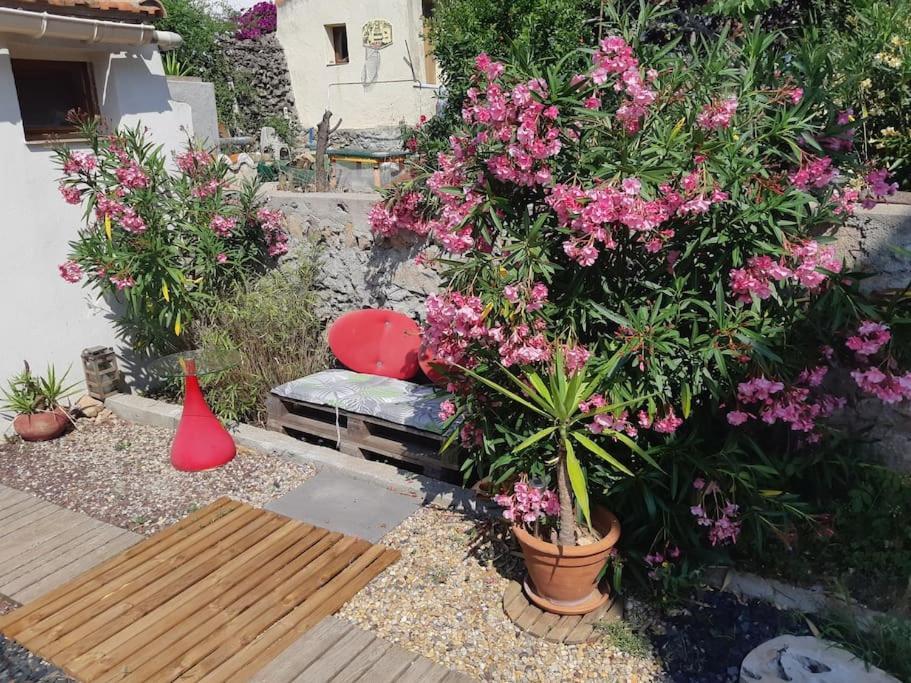 Haut De Villa Au Mont St Clair Vue Exceptionnelle Mer Et Foret Terrasses, Piscine, Petanque, Solarium Prives Sete Exterior photo
