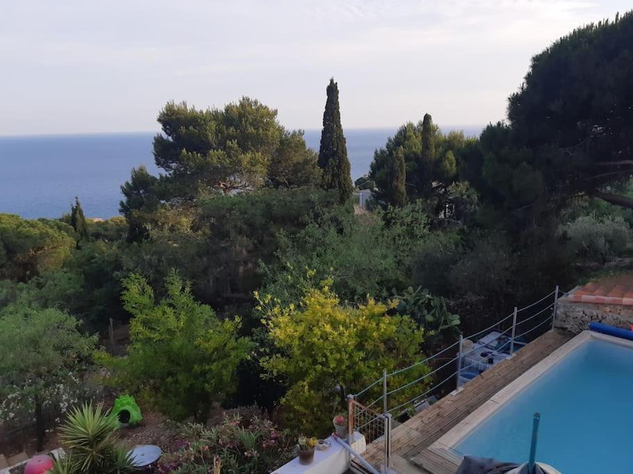 Haut De Villa Au Mont St Clair Vue Exceptionnelle Mer Et Foret Terrasses, Piscine, Petanque, Solarium Prives Sete Exterior photo