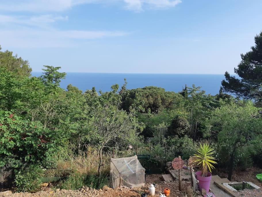 Haut De Villa Au Mont St Clair Vue Exceptionnelle Mer Et Foret Terrasses, Piscine, Petanque, Solarium Prives Sete Exterior photo